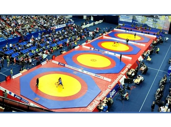 Помост для 4х борцовских ковров OLIMPIADA 22х64х1м