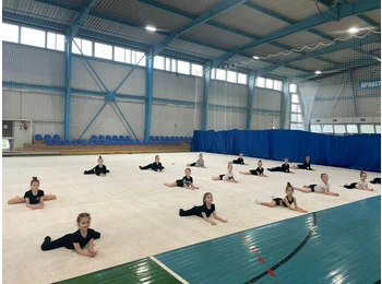 Ковер для художественной гимнастики (тренировочный) 8 x 8 x 0.0085 м