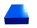 Мат гимнастический 1х2х0,1 м 1ШТ. (ППУ плотностью 25 кг/м3)