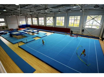 Ковер для спортивной гимнастики 0.015 м (плотность 35 кг/м3) цена за 1м2