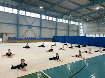 Ковер для художественной гимнастики (тренировочный) 8 x 8 x 0.0085 м