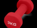 Гантель для аэробики неопреновая PRCTZ NEOPRENE DUMBBELL, 3 кг.