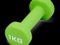 Гантель для аэробики неопреновая PRCTZ NEOPRENE DUMBBELL, 1 кг.