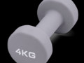 Гантель для аэробики неопреновая PRCTZ NEOPRENE DUMBBELL, 4 кг.