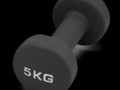 Гантель для аэробики неопреновая PRCTZ NEOPRENE DUMBBELL, 5 кг.
